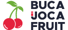 BiJ-logo-60x135
